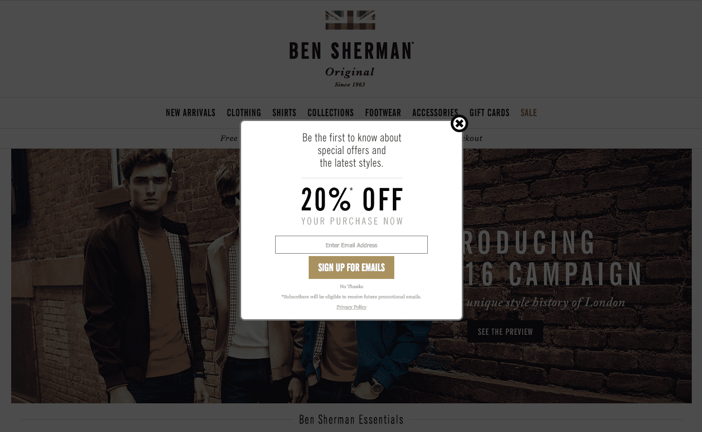 Designer Email Collection Popup