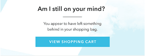 Abandoned Cart Email