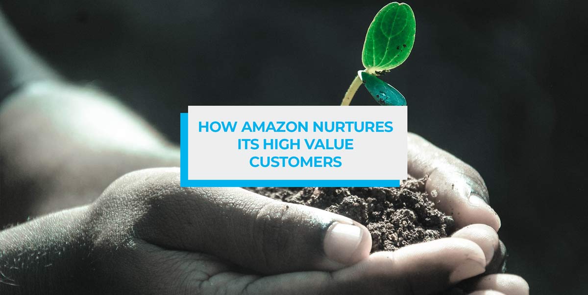 How Amazon Nurtures Its High Value Customers And How You Should Too