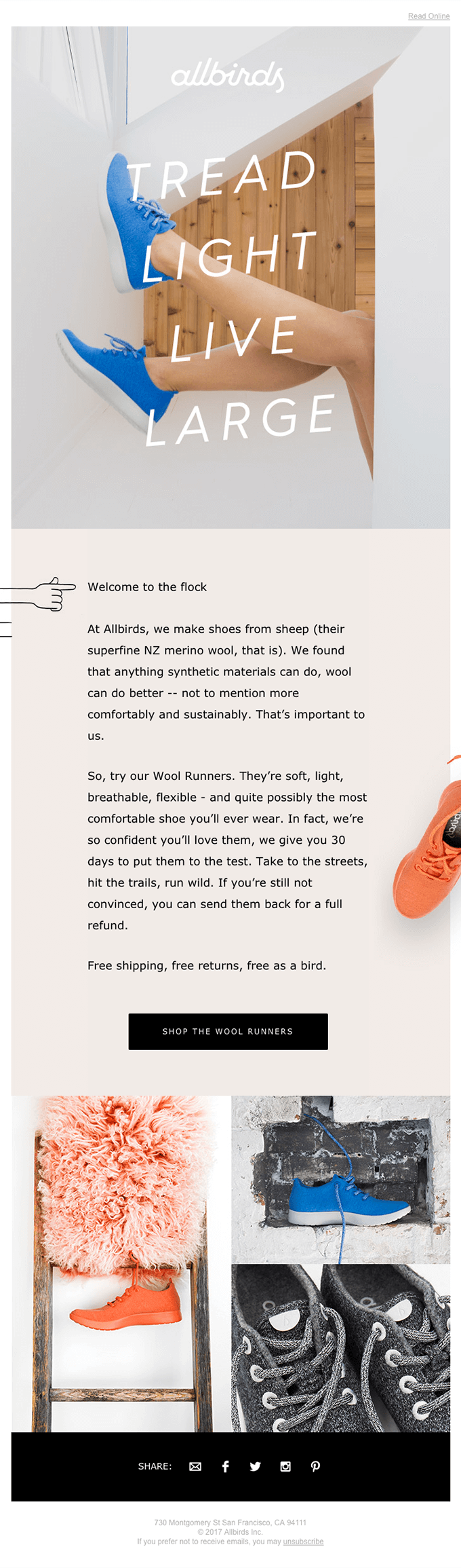 allbirds email