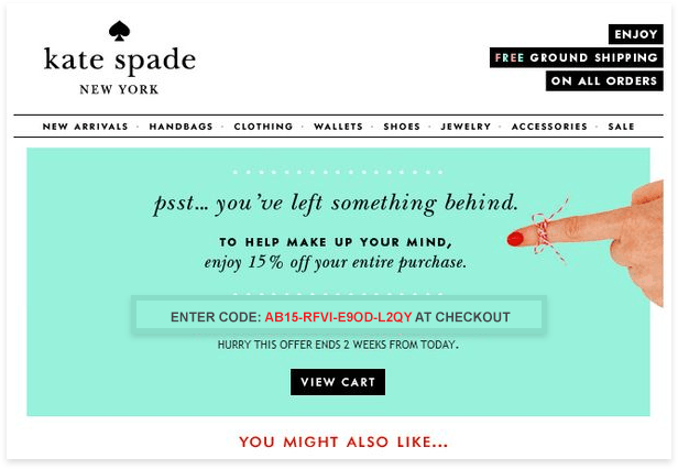 example of a discount code being included in an abandoned cart email