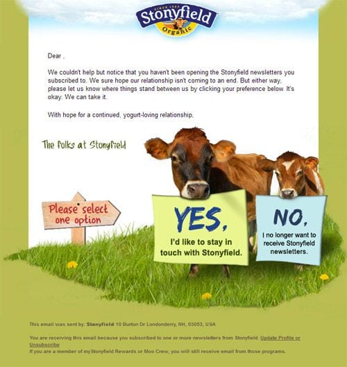 stonyfield reactivation winback email example