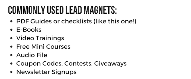 examples of lead magnets