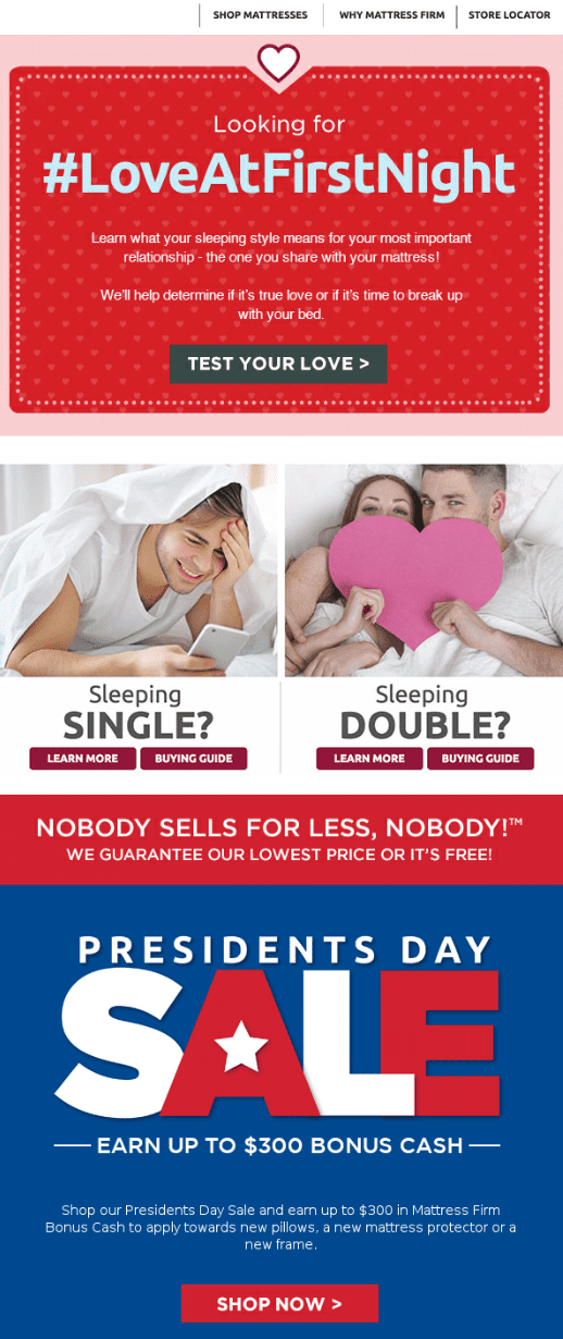 example of presidents day campaign