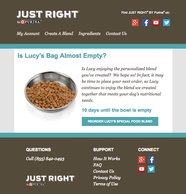 pet food replenishment email example from purina